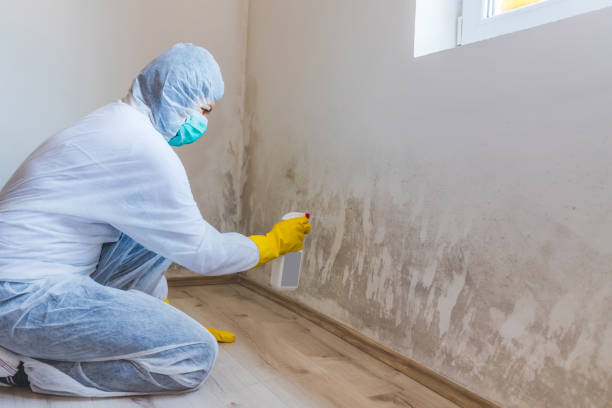 Licensed Mold Testing service in White Plains, NY - WQB Mold Removal