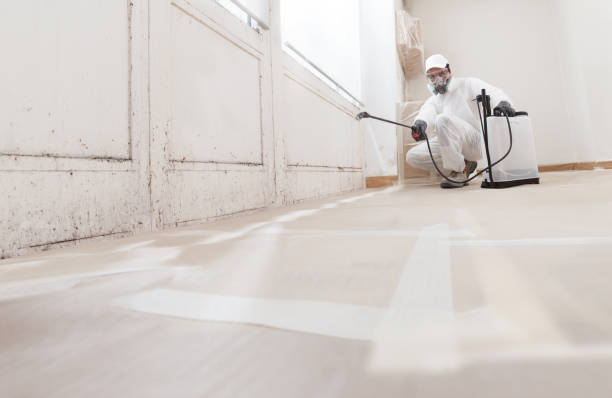 24/7 Emergency Mold Testing experts in White Plains, NY