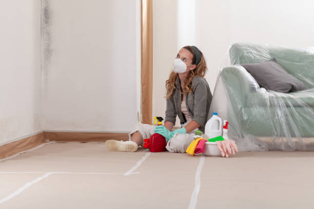 Reliable Mold Testing contractor in White Plains, NY by WQB Mold Removal